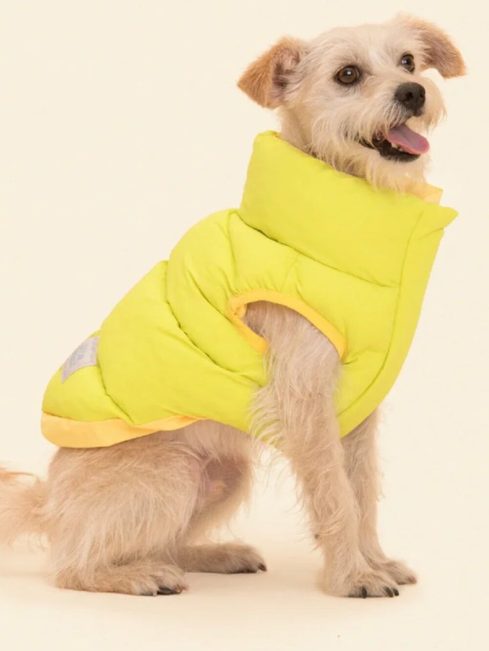 Little Beast Reversible Dog Parka - Lime/Cream